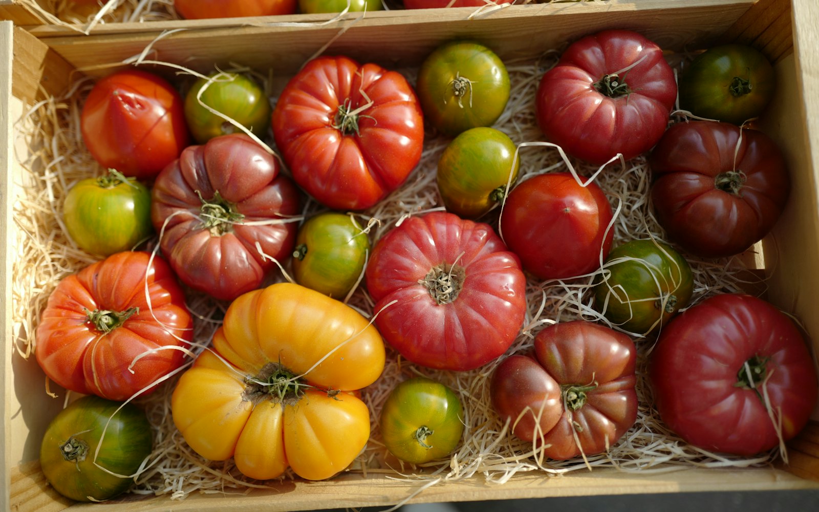 A wooden crate of mixed heirloom tomatoes in red, yellow, green and deep purple