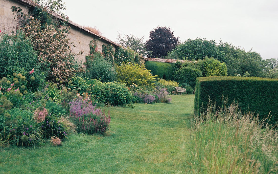 An English country garden in summer with a deep herbaceous border beside an old stone wall