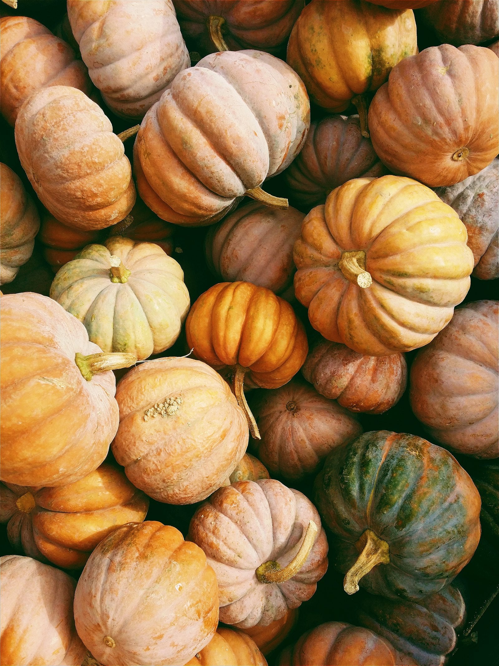 Autumn pumpkins